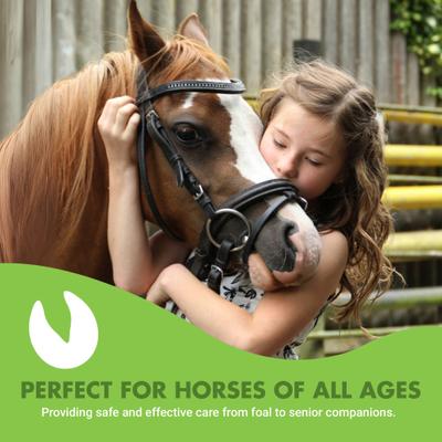 Show full view: Liquid-Vet Hock & Joint Support Peppermint Flavor Liquid Horse Supplement, 32-oz bottle, 2 count slide 8 of 10