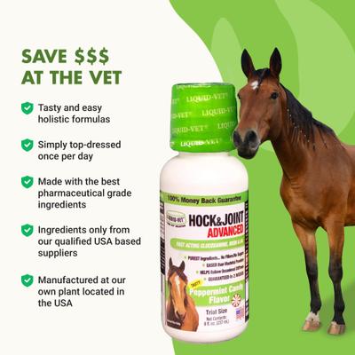 Show full view: Liquid-Vet Hock & Joint Support Peppermint Flavor Liquid Horse Supplement, 32-oz bottle, 2 count slide 5 of 10