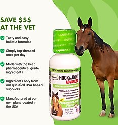 Liquid-Vet Hock & Joint Support Peppermint Flavor Liquid Horse Supplement, 32-fl oz bottle slide 2 of 8