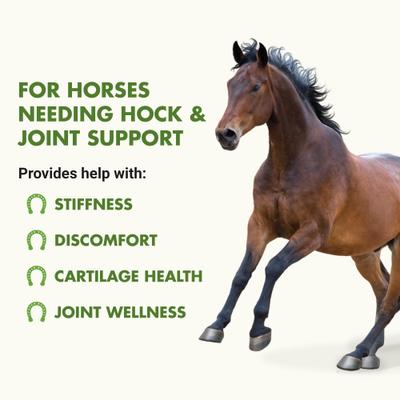 Show full view: Liquid-Vet Hock & Joint Support Peppermint Flavor Liquid Horse Supplement, 32-fl oz bottle slide 2 of 10