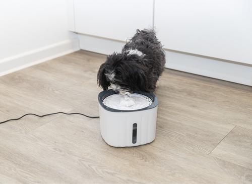 Show full view: TRIXIE Flower Cat & Dog Water Fountain, White/Gray, 68-oz slide 4 of 10