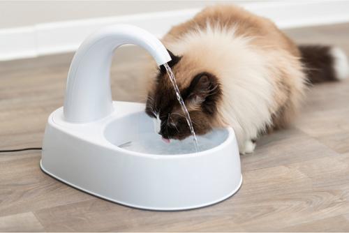 Show full view: TRIXIE Curved Stream Cat & Dog Water Fountain, White, 84.5-oz slide 8 of 10