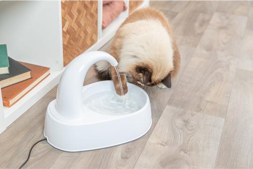 Show full view: TRIXIE Curved Stream Cat & Dog Water Fountain, White, 84.5-oz slide 2 of 10