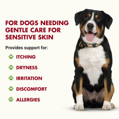 Show full view: Liquid-Vet Itch & Allergy Support Bacon Flavor Dog Supplement, 8-oz bottle, 2 count slide 3 of 10