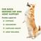Show in main carousel: Liquid-Vet Hip & Joint Support Unflavored Dog Supplement, 8-oz bottle, 2 count slide 3 of 10