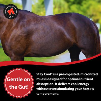 Show full view: Keyflow Feeds Stay Cool Low Sugar & Low Starch Horse Feed, 33-lb bag slide 5 of 6