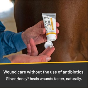 Silver Honey Rapid Wound Repair Antimicrobial Horse Ointment, 2-oz tube