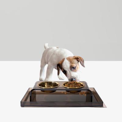 Show full view: Hiddin Overflow Dog Feeder Tray, Bronze, Small slide 2 of 8
