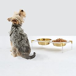 Hiddin Clear Campaign Double Dog Bowl, Gold, Small