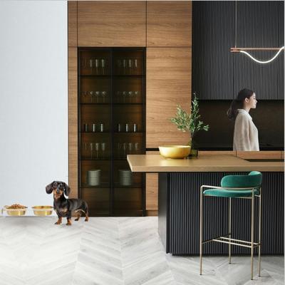 Show full view: Hiddin Clear Campaign Double Dog Bowl, Gold, Small slide 3 of 8