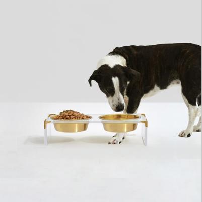 Show full view: Hiddin Clear Campaign Double Dog Bowl, Gold, Small slide 4 of 8