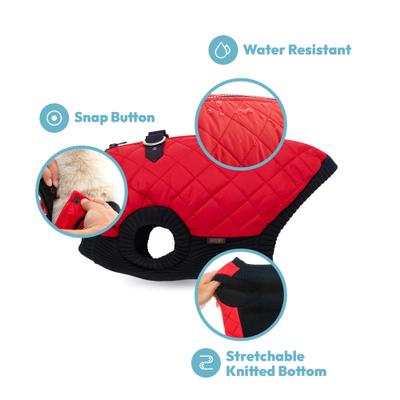 Show full view: Gooby Fashion Dog Vest, Violet, Medium slide 3 of 7