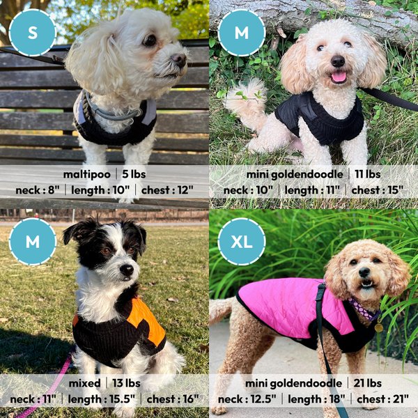 Show full view: Gooby Fashion Dog Vest, Orange, Large slide 5 of 5
