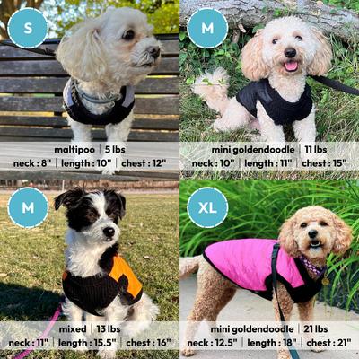 Show full view: Gooby Fashion Dog Vest, Violet, Medium slide 6 of 7