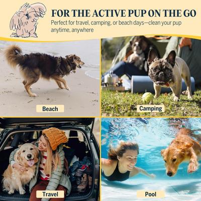 Show full view: Flydog Clean & Floofy Dog Dry Shampoo with Grooming Glove Kit, Lavendar Scent, 6.75-oz bottle slide 10 of 10