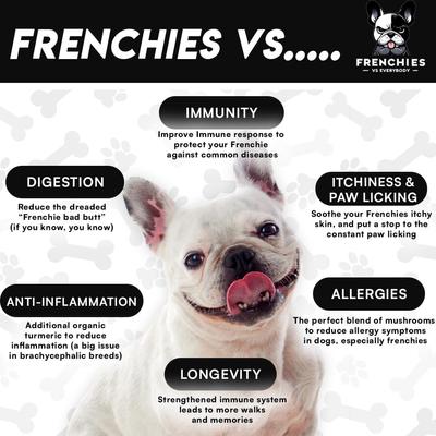 Show full view: Frenchies vs Everybody Frenchies vs Mushrooms Powder Immune Supplement for Dogs, 2.65-oz jar slide 3 of 11