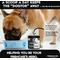 Show in main carousel: Frenchies vs Everybody Frenchies vs Plaque & Tartar Powder Dental Supplement for Dogs, 5.10-oz jar slide 7 of 10