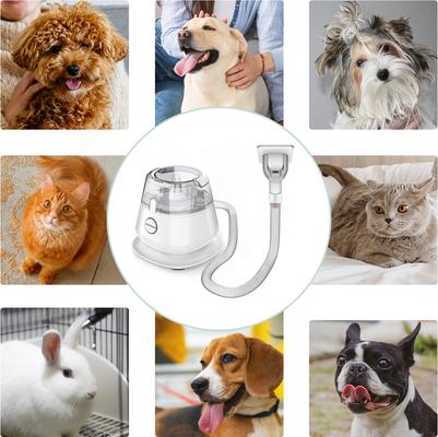 Show full view: INSE P20 Pro Pet Grooming Vacuum Kit, White, 1.2-L slide 6 of 6