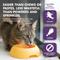 Show in main carousel: Liquid-Vet Calm & Content Support Unflavored Liquid Calming Supplement for Cats, 8-fl oz bottle slide 7 of 9