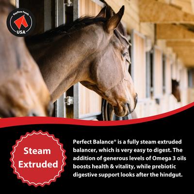 Show full view: Keyflow Feeds Perfect Balance Low Sugar, Low Starch & High Fat Horse Feed, 33-lb bag slide 5 of 6