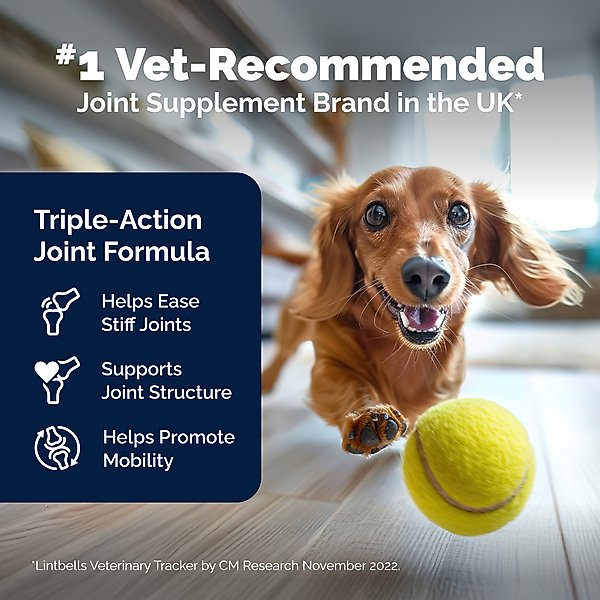 Show full view: Vetnique Labs YuMOVE Advanced Vet Strength Savory Seafood Flavor Soft Chews Hip & Joint Support Supplement for Dogs, 90 count slide 3 of 9