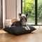 Show in main carousel: Allisandro Wear-Resistant Sherpa Orthopedic Pillow Dog Bed, Grey, Medium slide 1 of 10