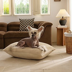 Allisandro Wear-Resistant Sherpa Orthopedic Pillow Dog Bed, Beige, Medium
