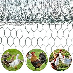 RYPetmia Outdoor Metal Chicken Coop, 35 Chicken Capacity slide 2 of 9