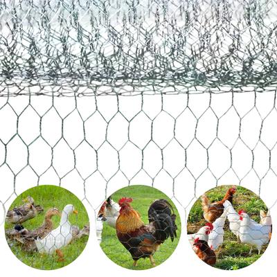 Show full view: RYPetmia Outdoor Metal Chicken Coop, 15 Chickens Capacity slide 6 of 9