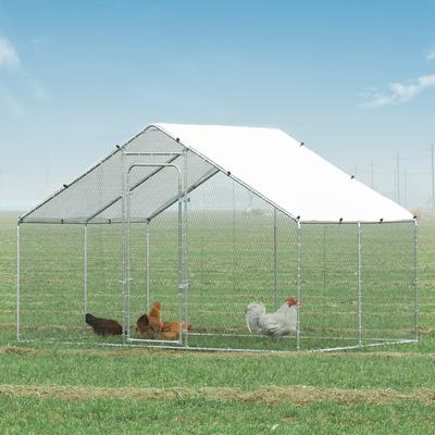 Show full view: RYPetmia Outdoor Metal Chicken Coop, 15 Chickens Capacity slide 9 of 9