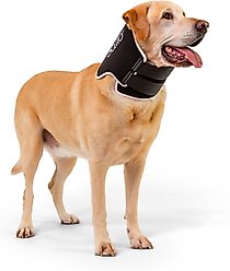 Balto Neck Eco Dog E-Collar Alternative, Large