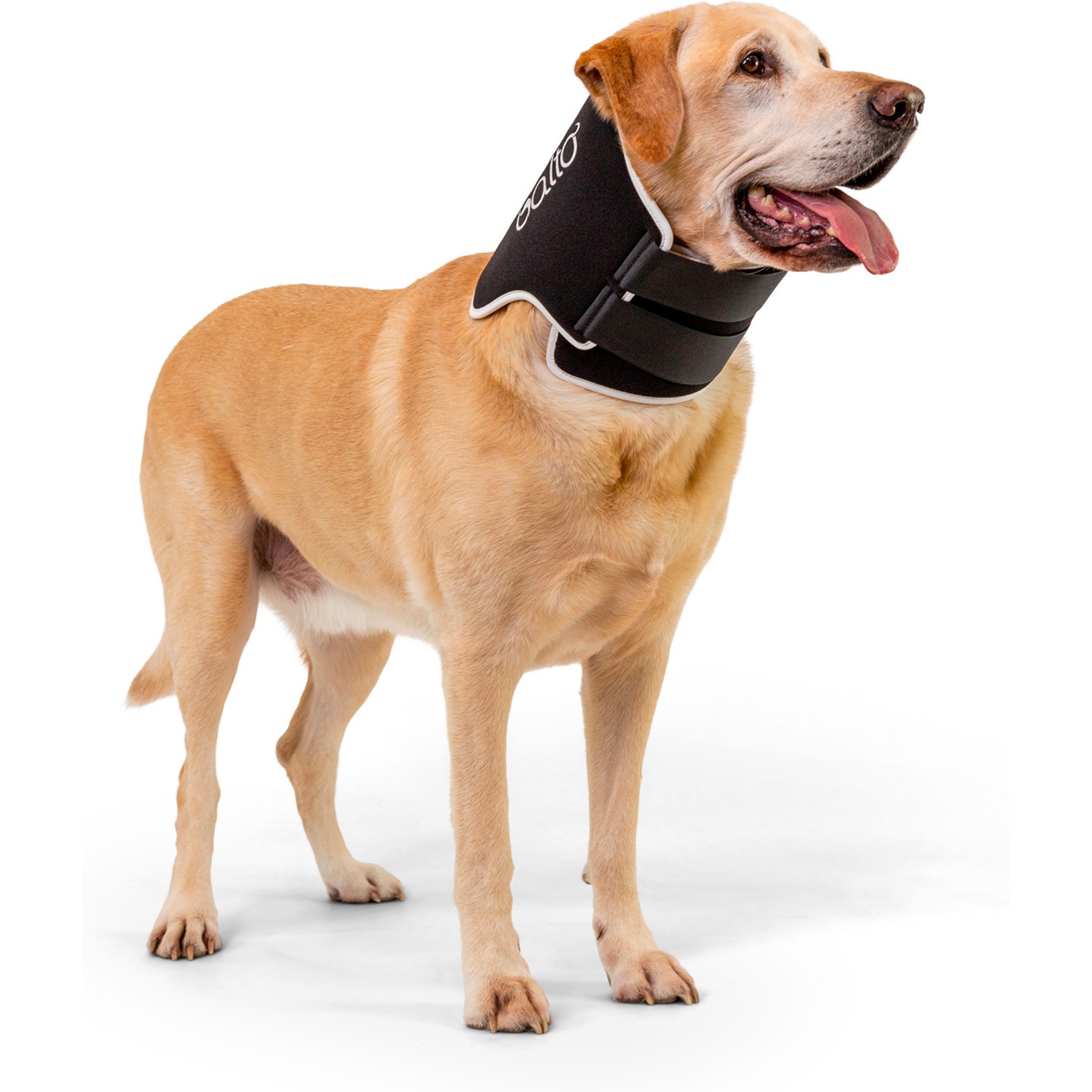 Balto Neck Eco Dog E-Collar Alternative, X-Small