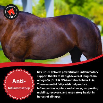 Show full view: Keyflow Feeds Key 3 Oil High Fat Horse Feed, 5-liter jug slide 5 of 7