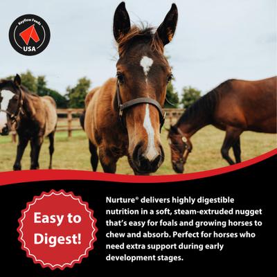 Show full view: Keyflow Feeds Nurture Low Sugar, Low Starch & High Fat Horse Feed, 39-lb bag slide 5 of 6