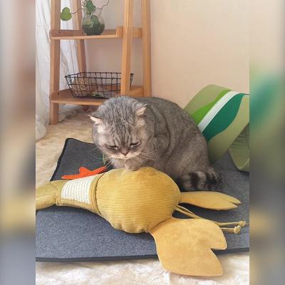 Show full view: Happy & Polly Fish Adventure Cat Sniffing Mat Tunnel, Green slide 5 of 11
