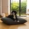 Show in main carousel: Allisandro Wear-Resistant Sherpa Orthopedic Pillow Dog Bed, Grey, Large slide 1 of 10