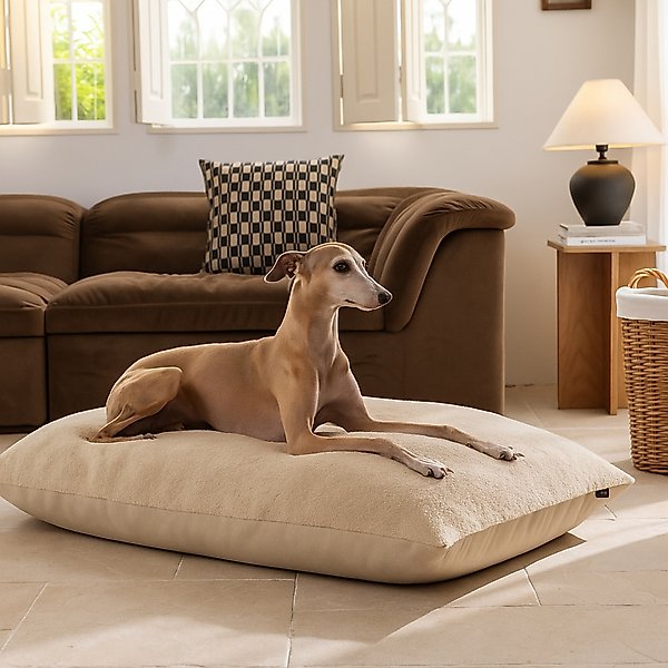 Show full view: Allisandro Wear-Resistant Sherpa Orthopedic Pillow Dog Bed, Beige, Jumbo slide 1 of 9