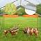 Show in main carousel: RYPetmia Outdoor Metal Chicken Coop, 30 Chicken Capacity slide 2 of 9