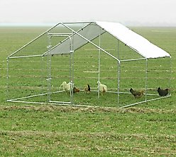 RYPetmia Outdoor Metal Chicken Coop, 35 Chicken Capacity