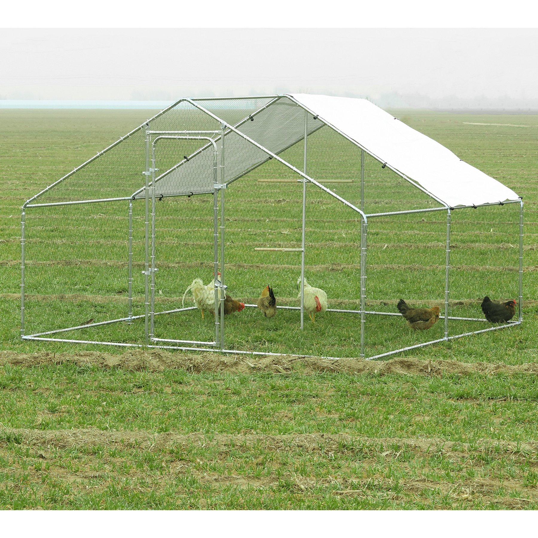 RYPetmia Outdoor Metal Chicken Coop, 35 Chicken Capacity