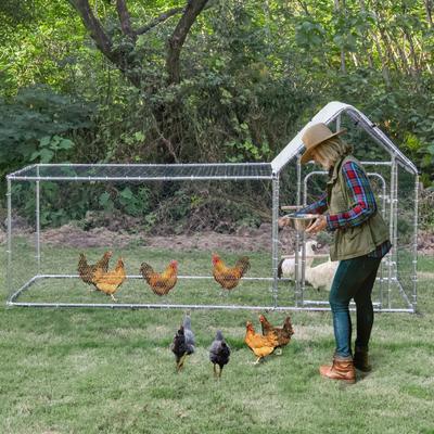 Show full view: RYPetmia Outdoor Metal Chicken Coop for 8 Chicken Capacity slide 2 of 9