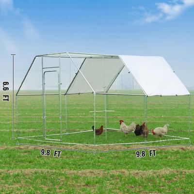 Show full view: RYPetmia Outdoor Metal Chicken Coop, 25 Chicken Capacity slide 8 of 9