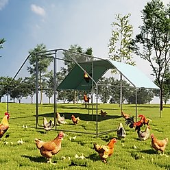RYPetmia Outdoor Metal Chicken Coop, 25 Chicken Capacity