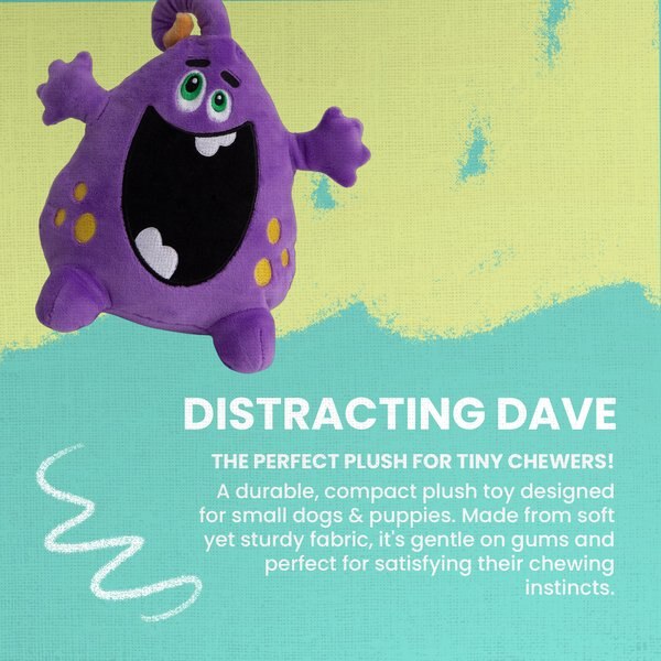 Snugarooz Distracting Dave Monster 2 in 1 Squeaky Dog Plush Toy
