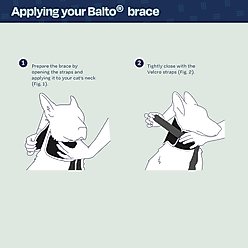 Balto Neck Eco Dog E-Collar Alternative, Large slide 2 of 8