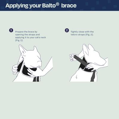 Show full view: Balto Neck Eco Dog E-Collar Alternative, Small slide 5 of 10