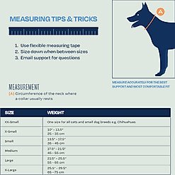 Balto Rigid Dog Neck Brace, XX-Small slide 2 of 8