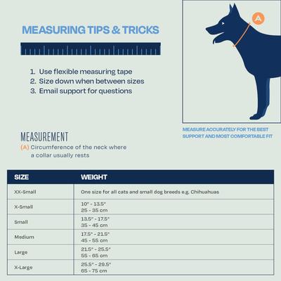 Show full view: Balto Neck Eco Dog E-Collar Alternative, Small slide 4 of 10