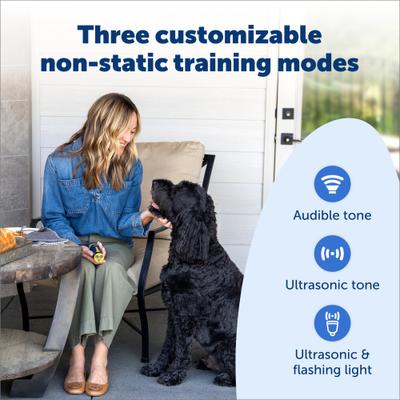 Show full view: PetSafe Collarless Handheld Dog Trainer Anti-Bark Device slide 5 of 11