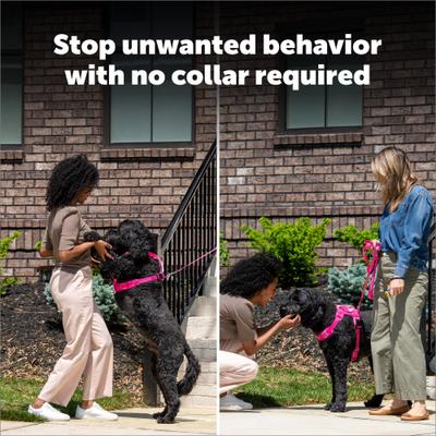 Show full view: PetSafe Collarless Handheld Dog Trainer Anti-Bark Device slide 3 of 11